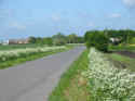 course2.jpg (36889 bytes)
